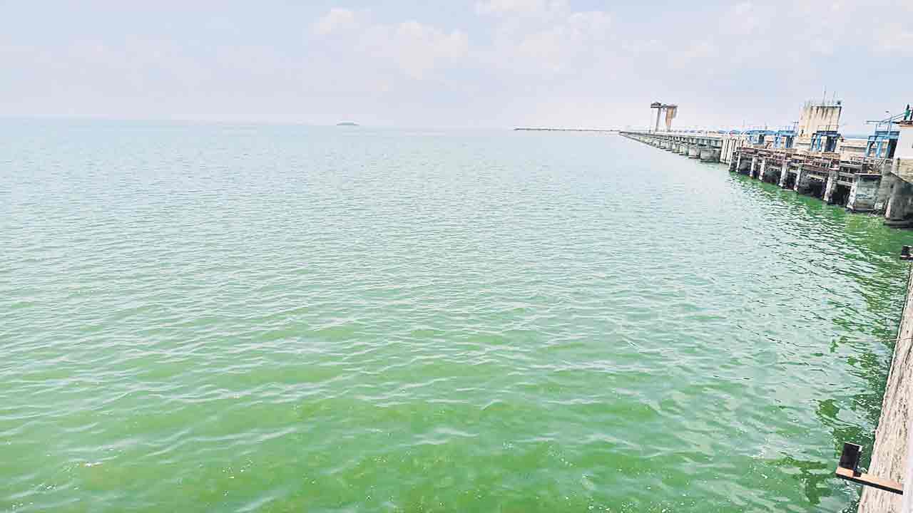 నిరంతర వరద ముఖి ఎస్సారెస్పీ