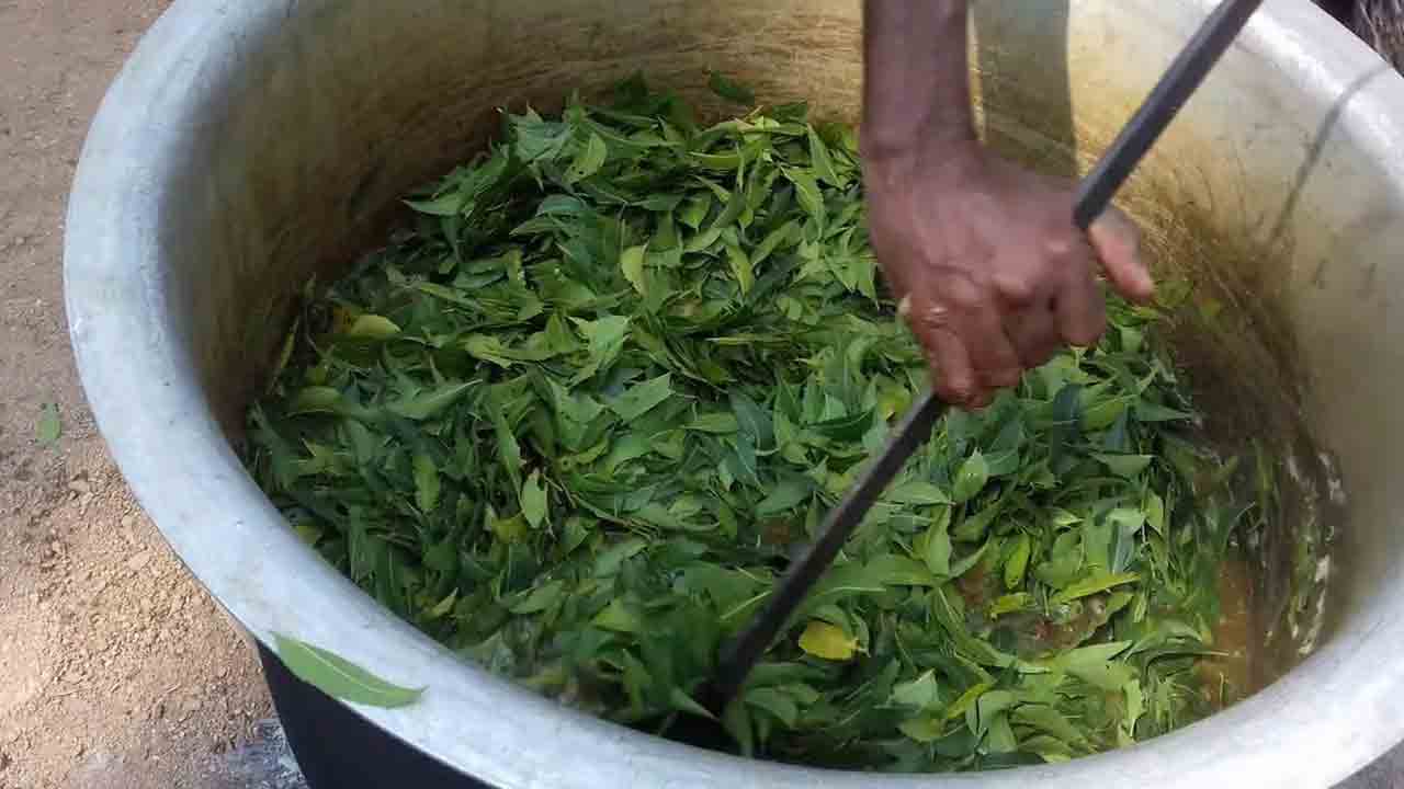 నీమాస్త్రం