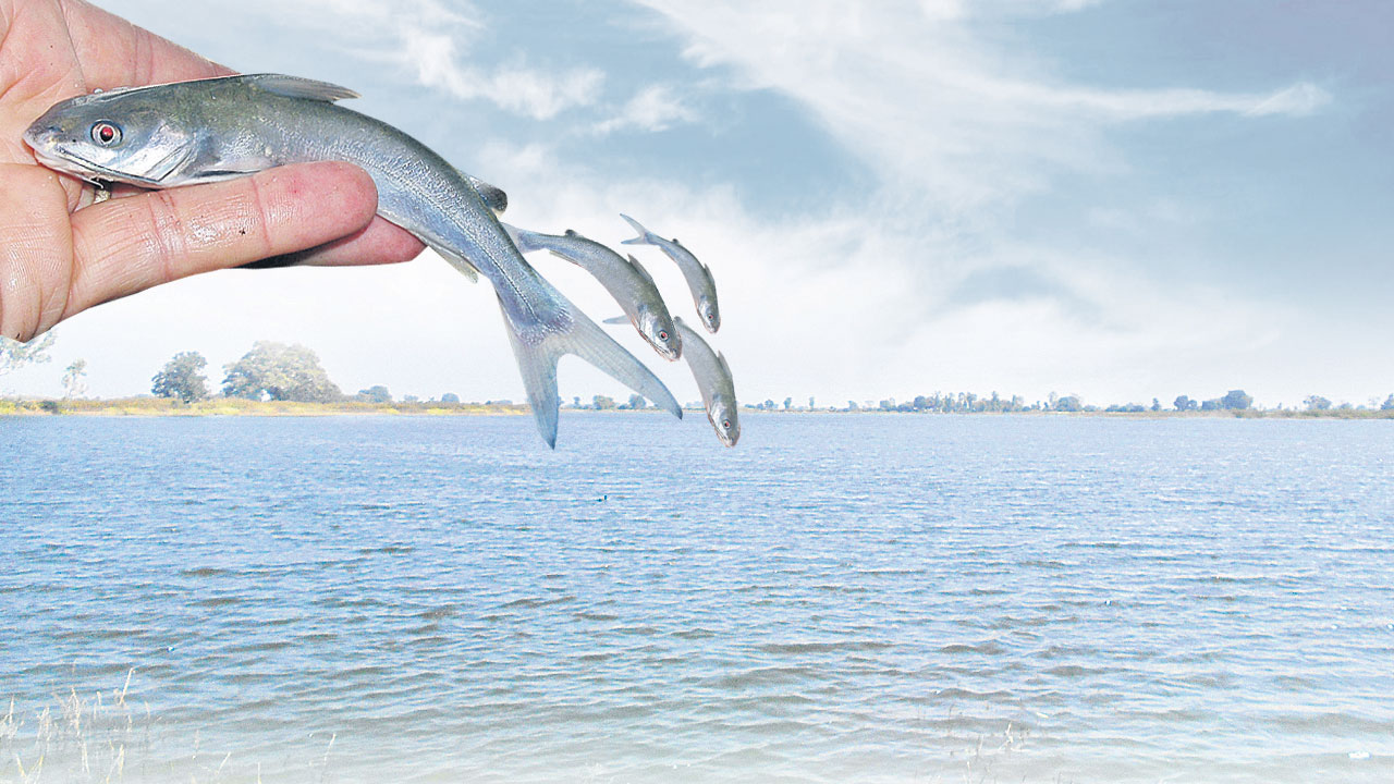 గంగపుత్రులకు చేయూత