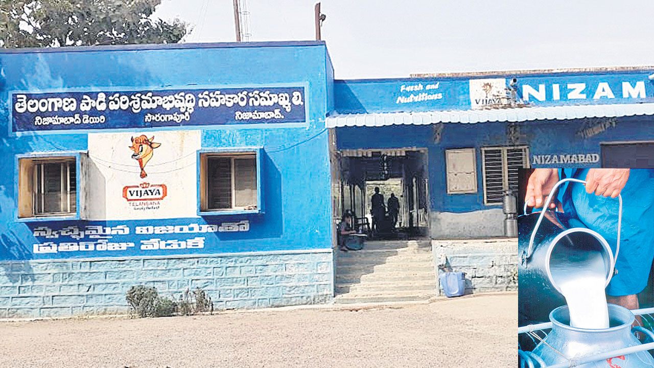 పాడి రైతుకు ప్రోత్సాహం