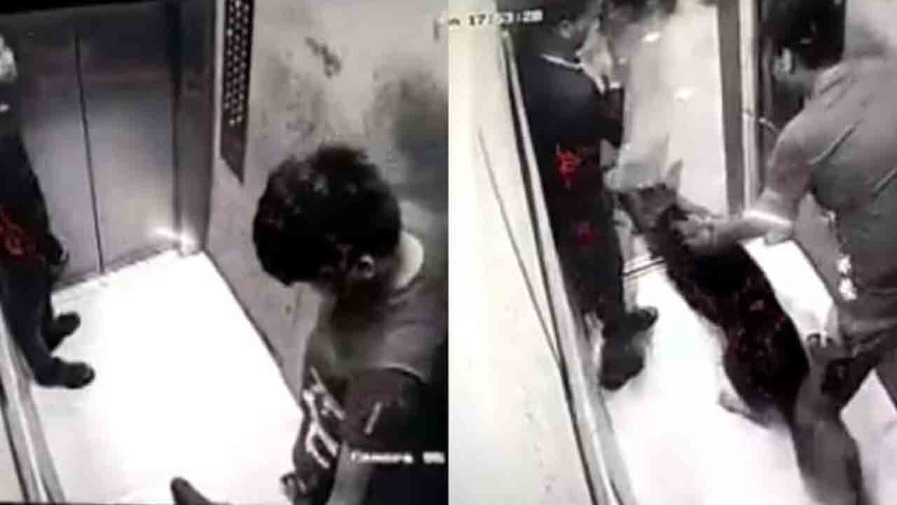 లిఫ్ట్‌లో కుక్కల దాడి.. నిన్న ఘ‌జియాబాద్‌లో.. నేడు నోయిడాలో..