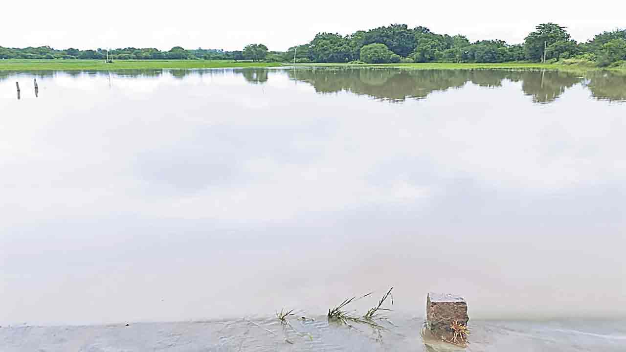 రంగారెడ్డి జిల్లావ్యాప్తంగా అధిక వర్షం
