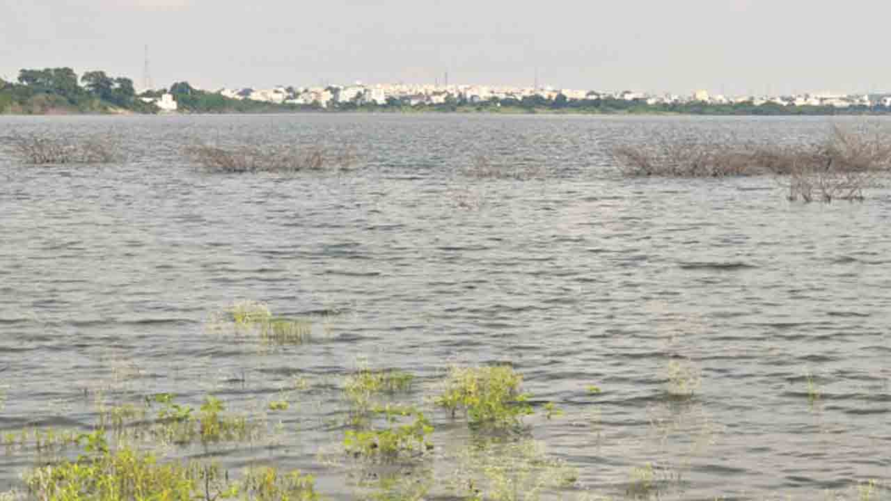 చెరువోయి… మా ఊరి చెరువు