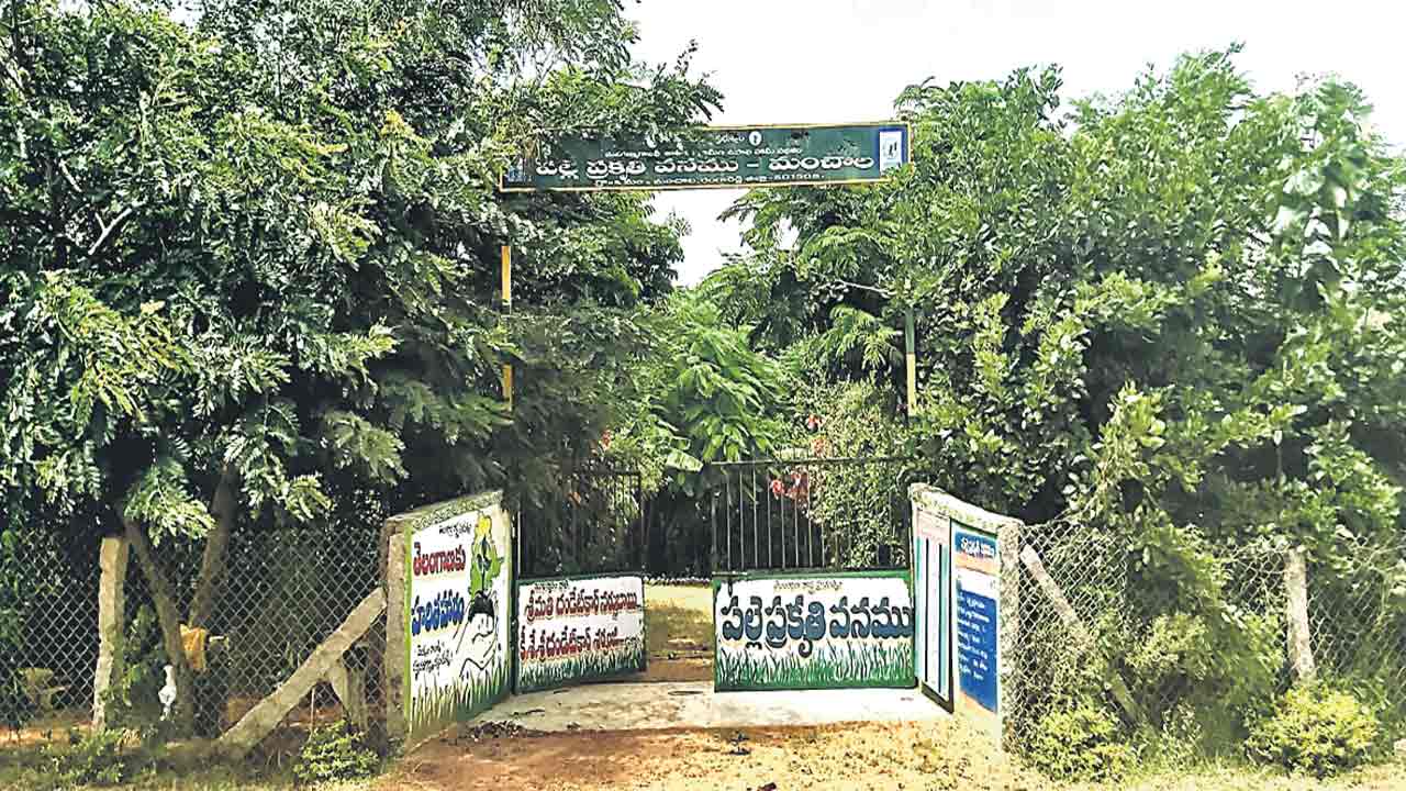 మంచాలలో సరికొత్త కళ తెచ్చిన పల్లెప్రకృతి వనం