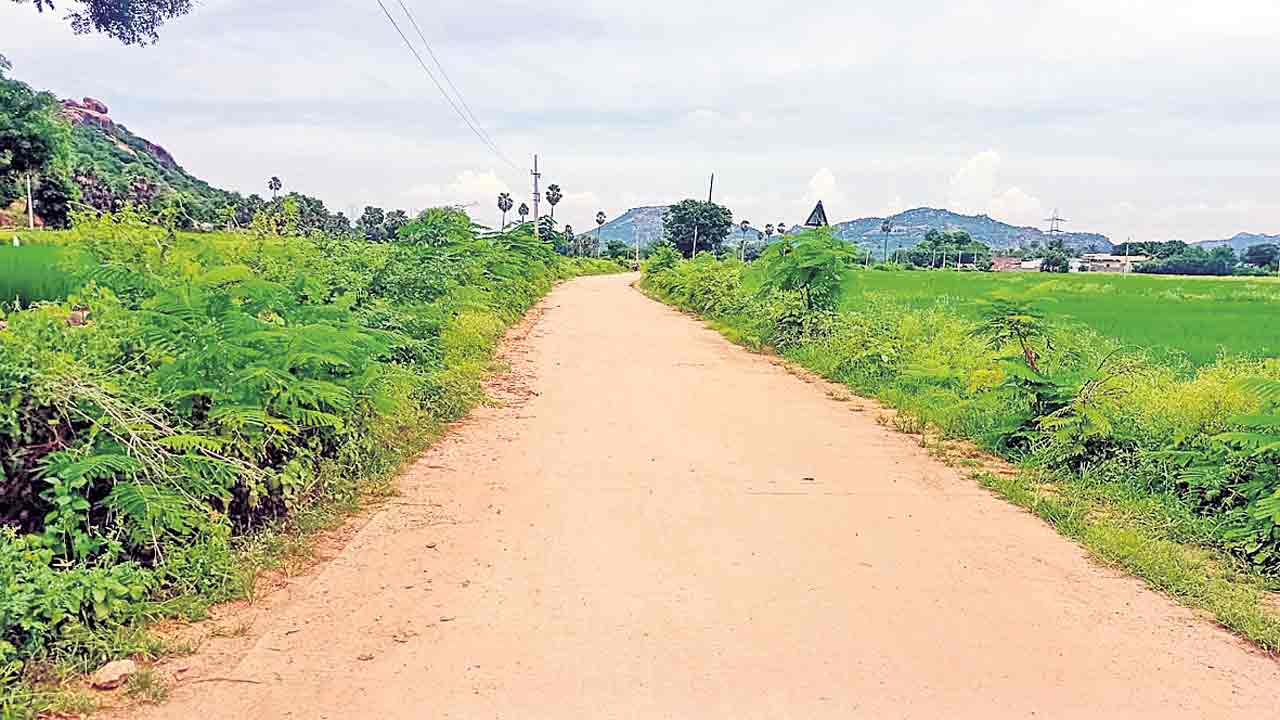 ఊరిలో విరివిగా మొక్కల పెంపకం