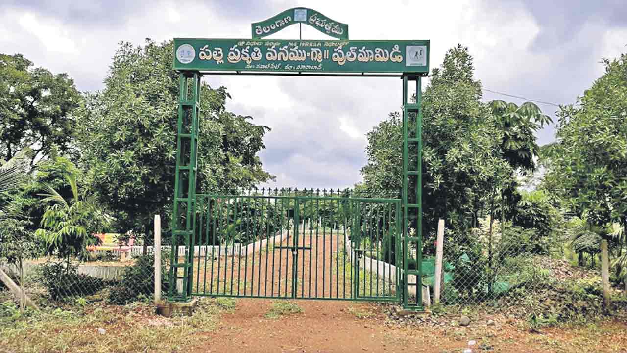 పల్లెల్లో ప్రగతి పరుగులు