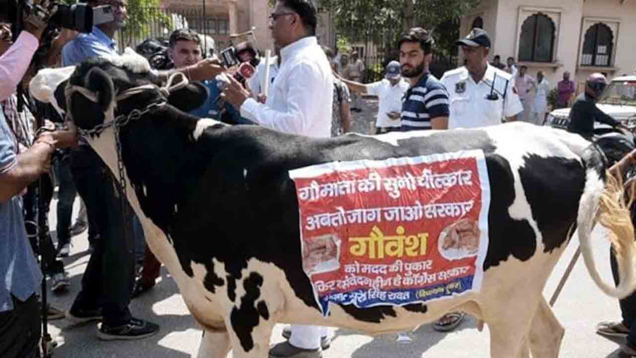 Watch: అసెంబ్లీకి ఆవును తెచ్చిన బీజేపీ ఎమ్మెల్యే… తర్వాత ఏమైందంటే!