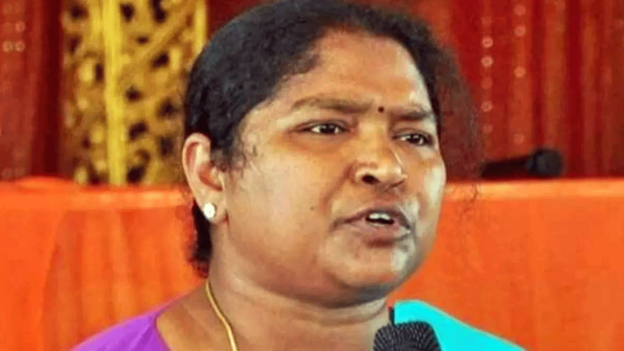 పంచాయతీ ఎన్నికలు ఇప్పట్లో ఉండవు