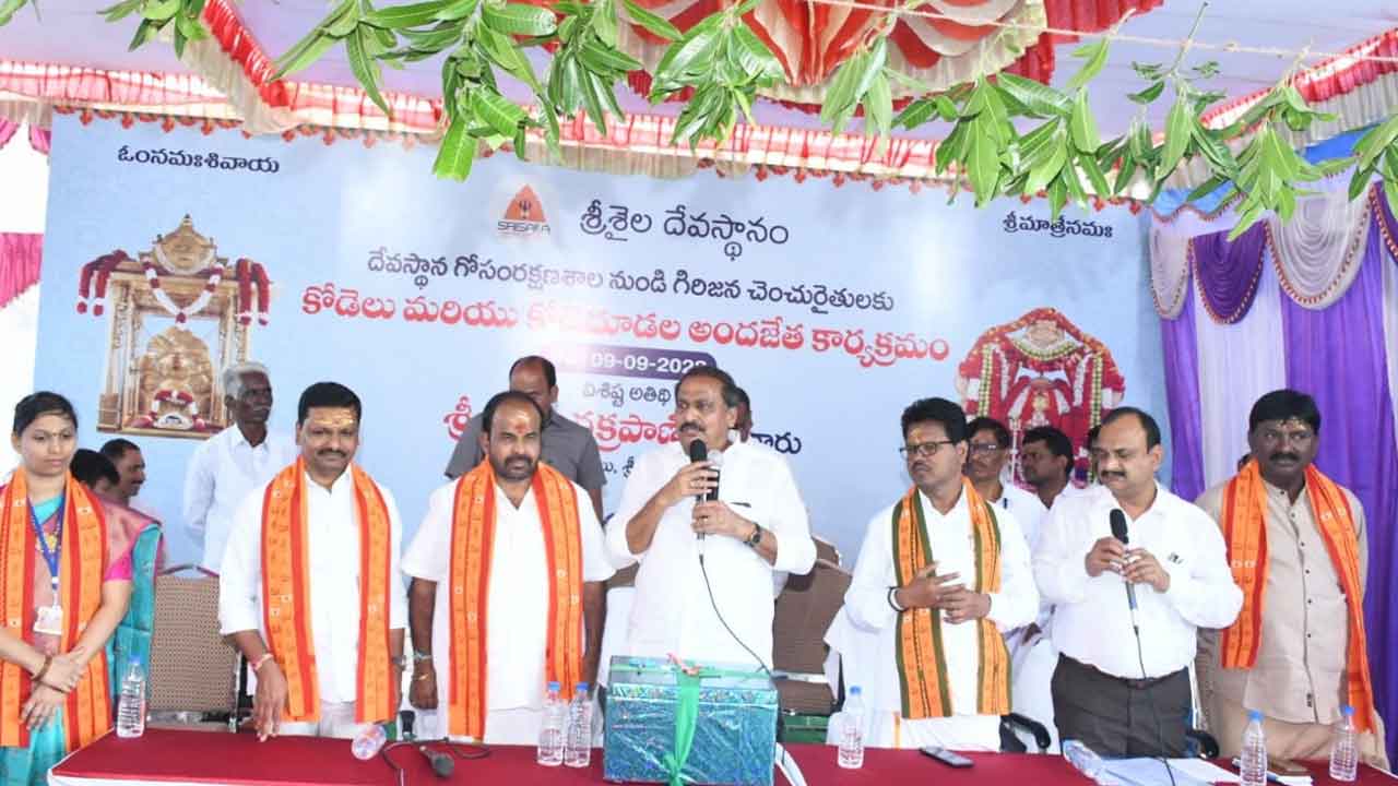 Srisailam | గిరిపుత్రులకు కోడెదూడ‌లు పంపిణీ.. అండ‌గా ఉంటాన‌న్న‌ శ్రీశైలం ఎమ్మెల్యే