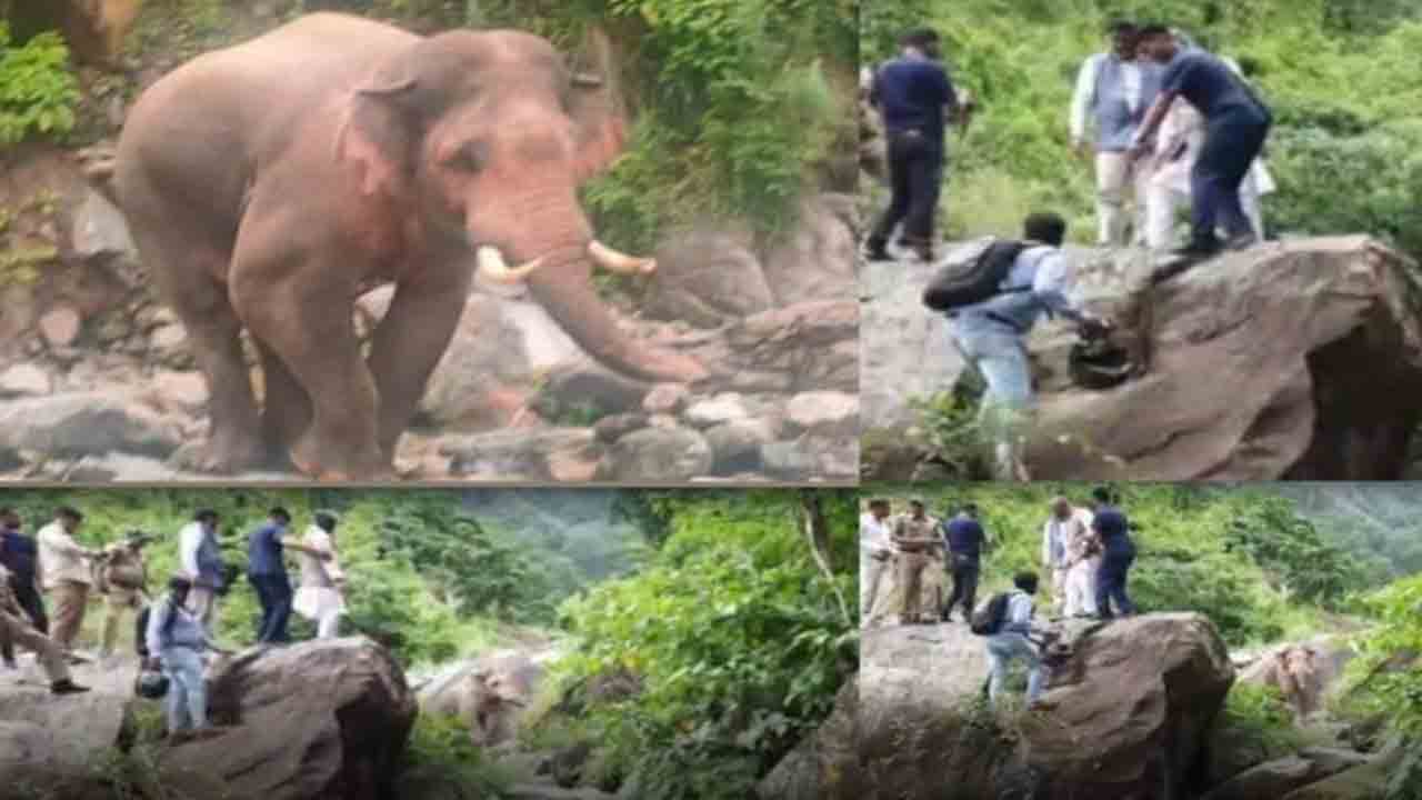 Viral Video: ఏనుగు నుంచి రక్షించుకునేందుకు… కొండ రాయిపైకి ఎక్కిన మాజీ సీఎం