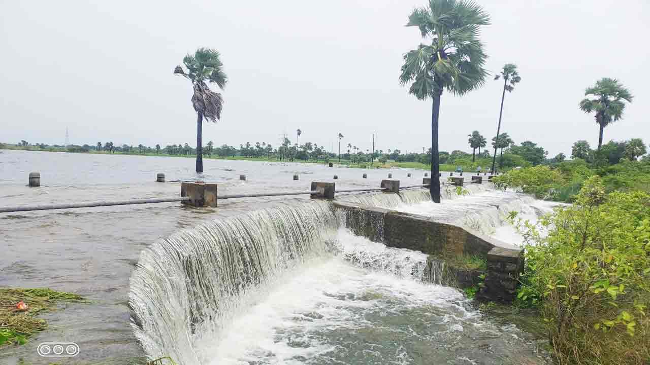 ముసురేసింది..