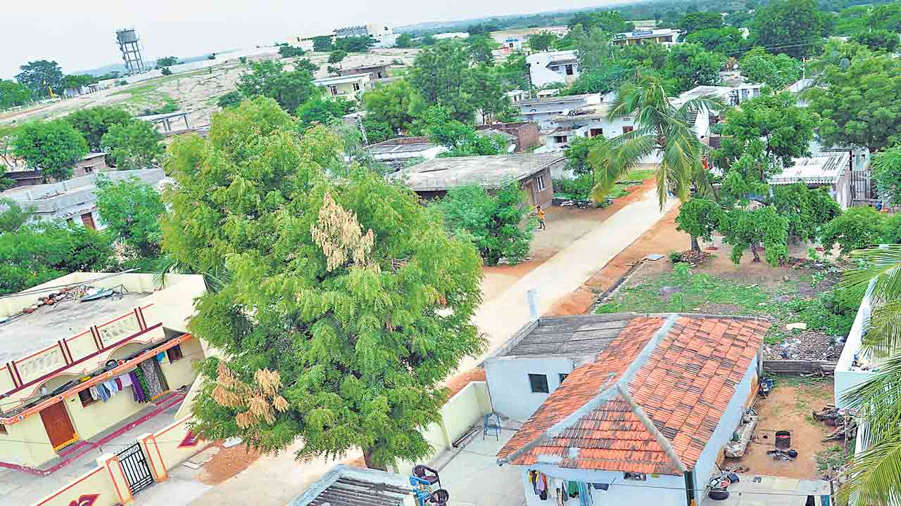 సాటిలేని తెలంగాణ పల్లెలు!