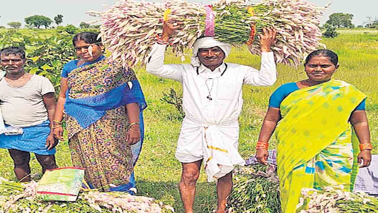 బీడు పాయె.. గునుగే కరువాయె