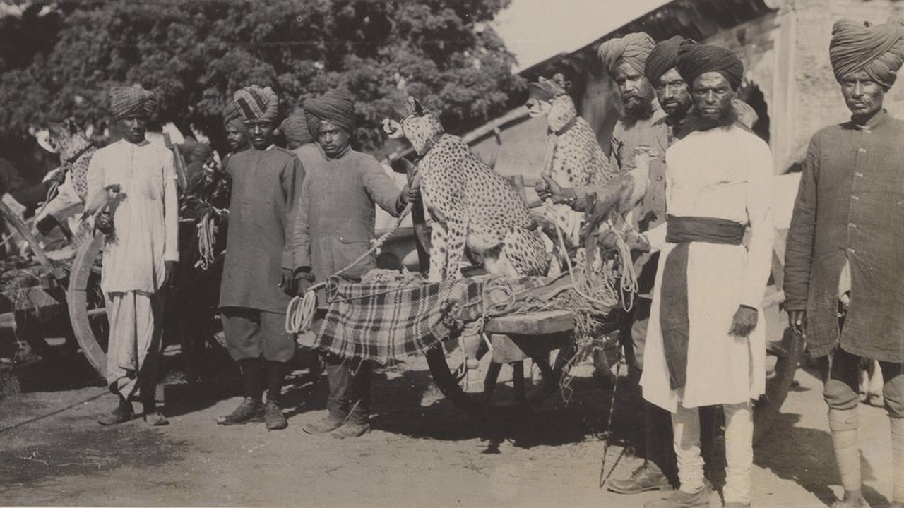 మ‌న‌దేశంలో చీతాల‌ను పెంపుడు జంతువుల్లా పెంచుకునేవారా? అది ఎలా సాధ్య‌మైంది?