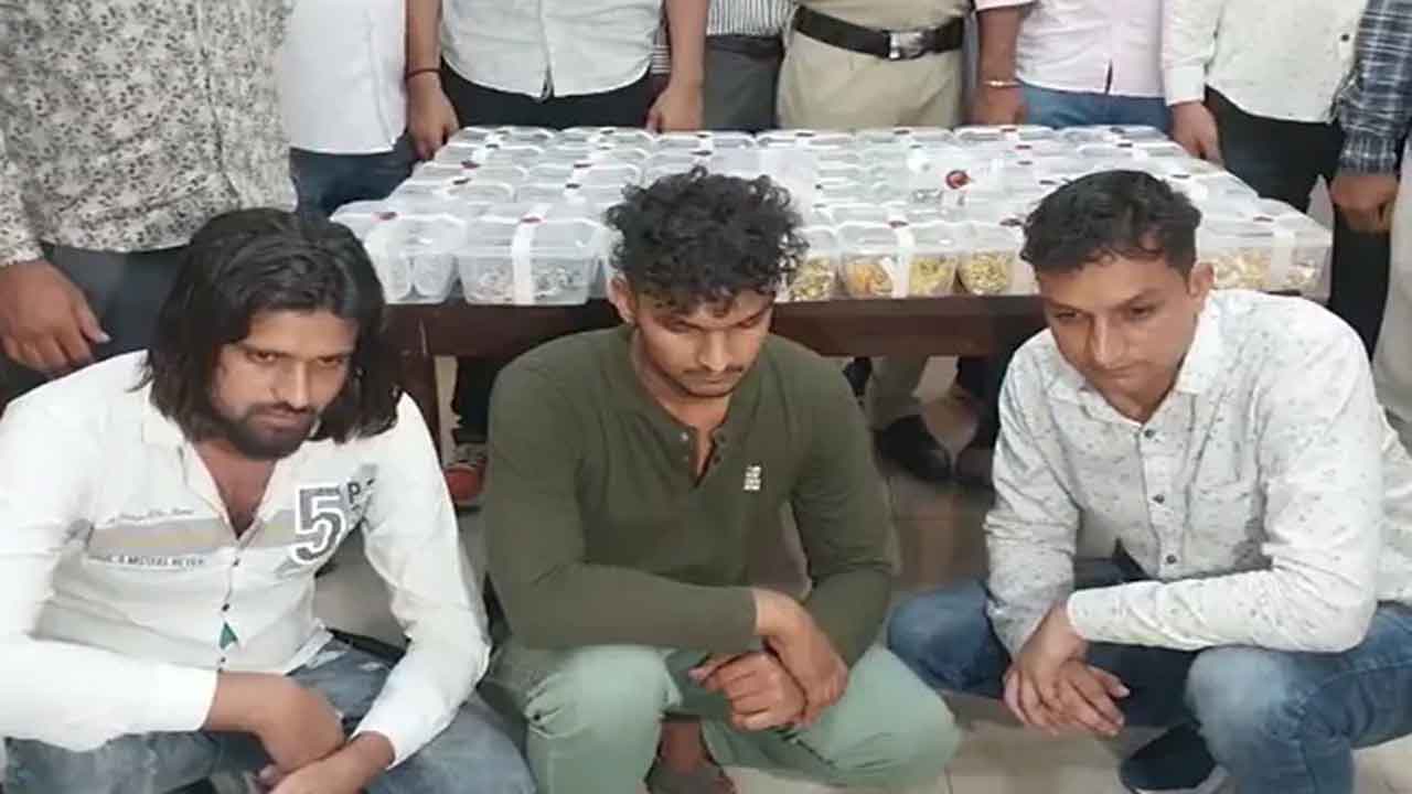 6 కోట్ల విలువైన నగలు చోరీ.. దొంగ‌ల్ని ప‌ట్టించిన పేటీఎం ట్రాన్స్‌ఫ‌ర్‌