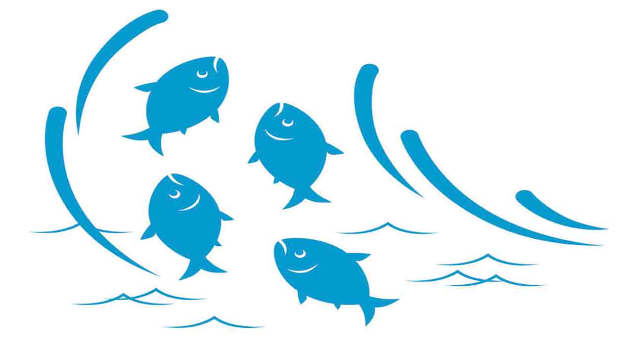 చేపపిల్లల పంపిణీలో అవకతవకలపై ఉక్కుపాదం