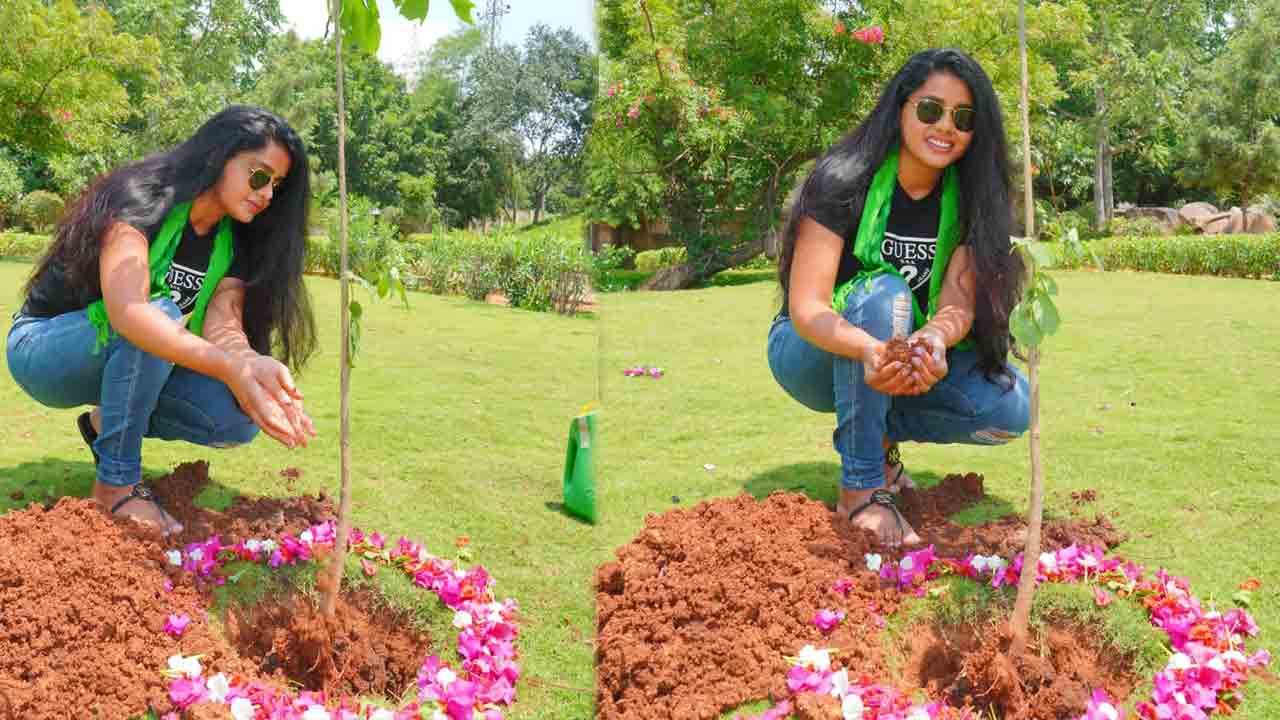 Green India Challenge | మొక్కలు నాటిన నటి సుమయా రెడ్డి