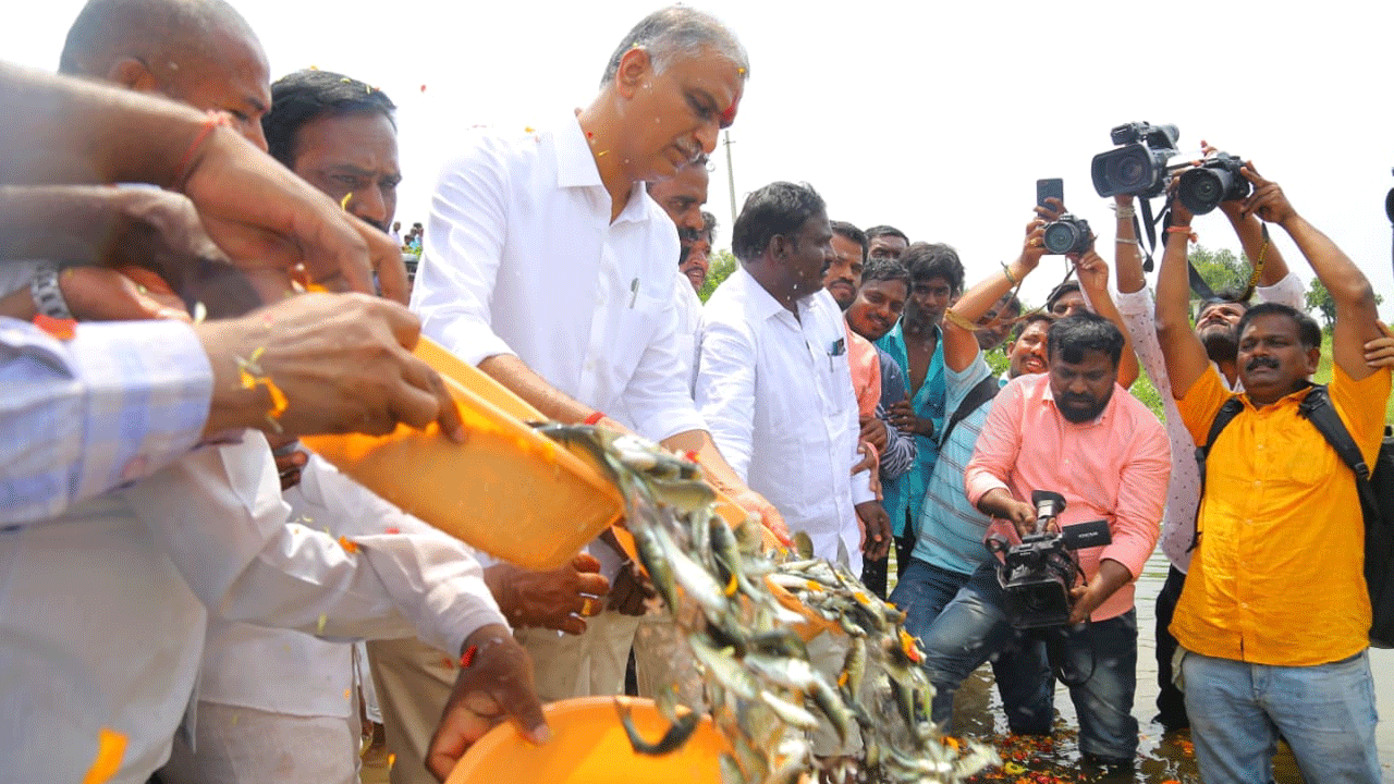 కాంగ్రెస్, బీజేపీ నేతలను సిద్దిపేట చెరువులో ముంచాలి : మంత్రి హరీశ్ రావు ఫైర్‌