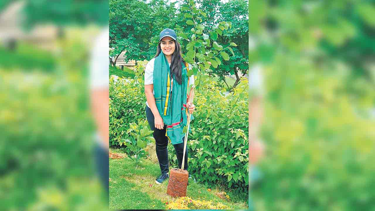 ‘గ్రీన్‌ ఇండియా చాలెంజ్‌’ కార్యక్రమంలో నటి కావ్య కళ్యాణ్‌రామ్‌