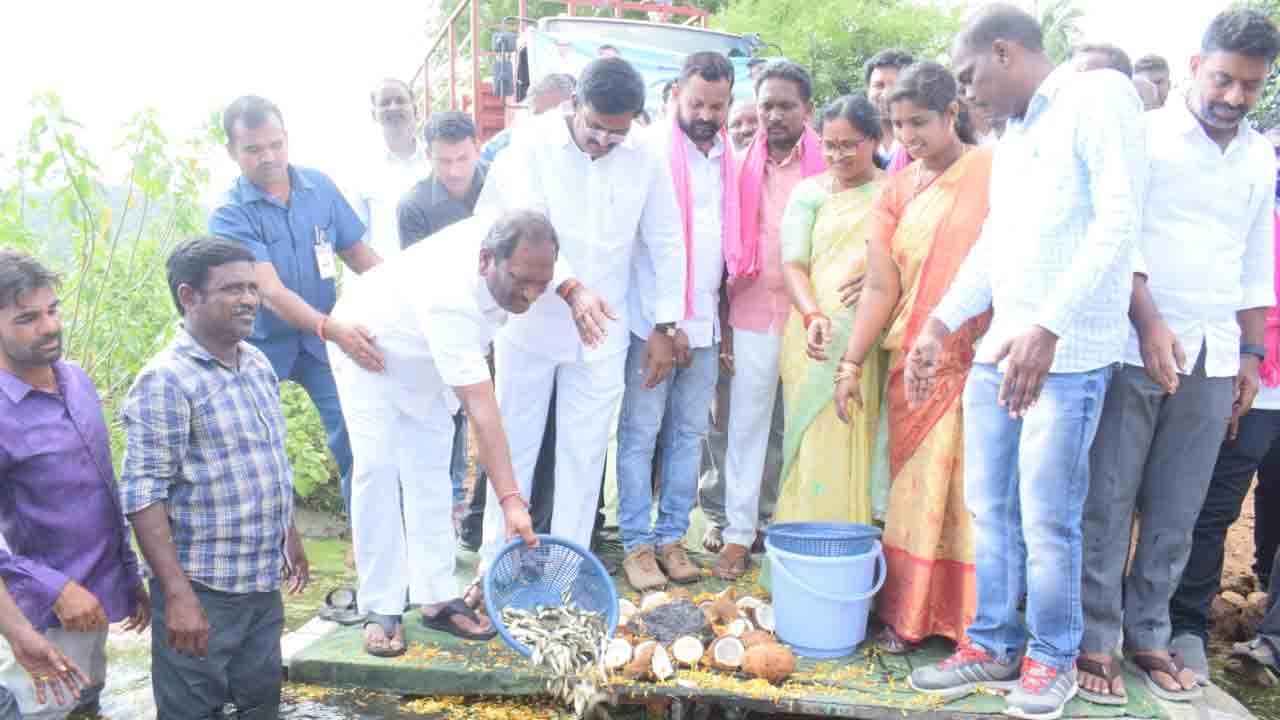 Jagithyala | పెద్దమ్మ చెరువులో చేప పిల్లలు వదిలిన మంత్రి కొప్పుల
