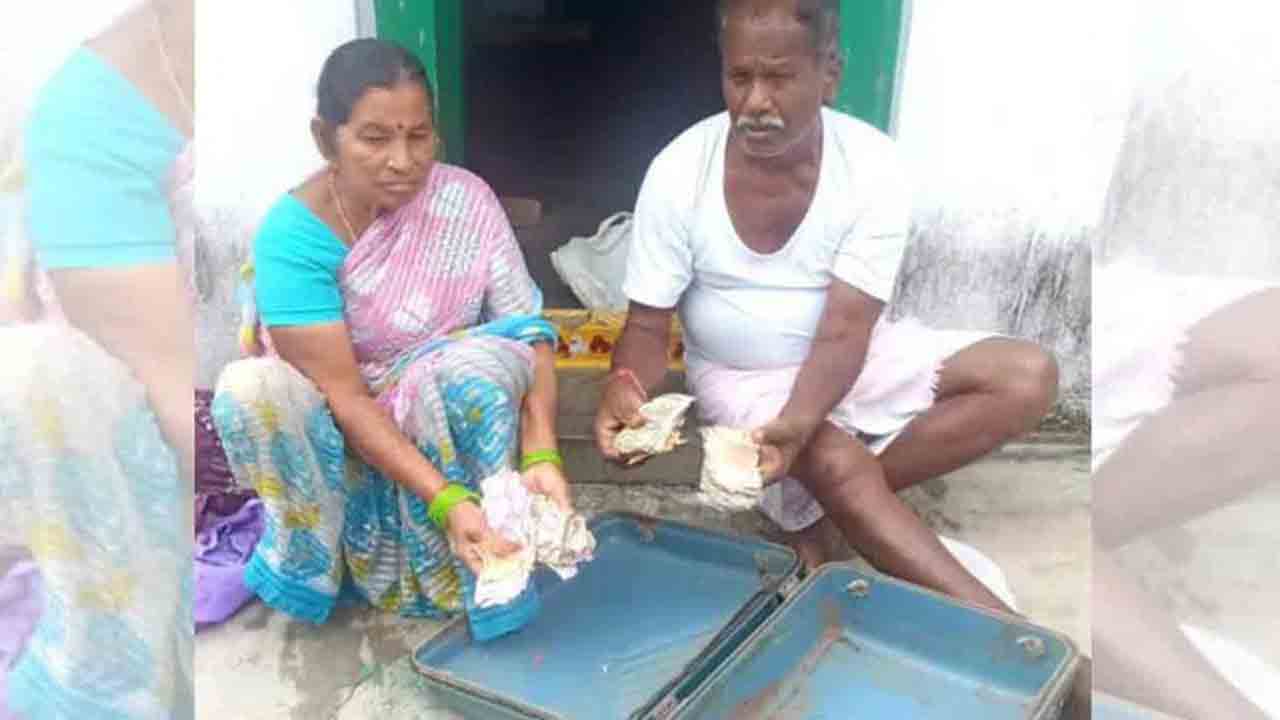 అయ్యో పాపం… కష్టపడి కూడబెట్టుకున్న సొమ్ముకు చెదలు!