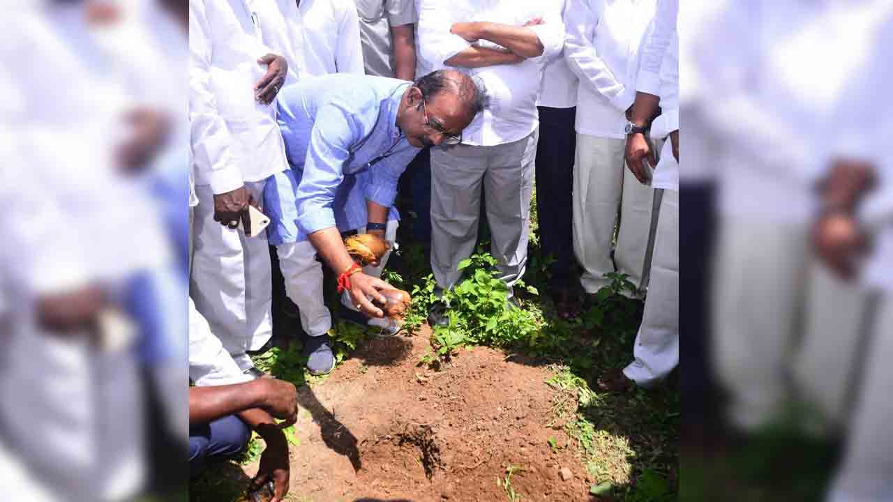 గౌడ్‌లకు ప్రయోజనకారి బీహార్‌ తాటిచెట్టు