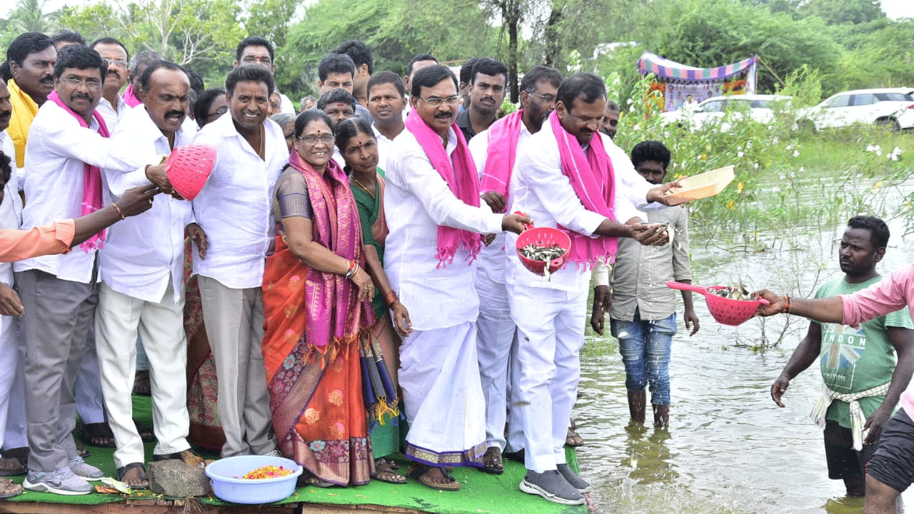 సరళ సాగర్ ప్రాజెక్ట్‌లో చేప పిల్లలు వదిలిన మంత్రి నిరంజన్‌రెడ్డి