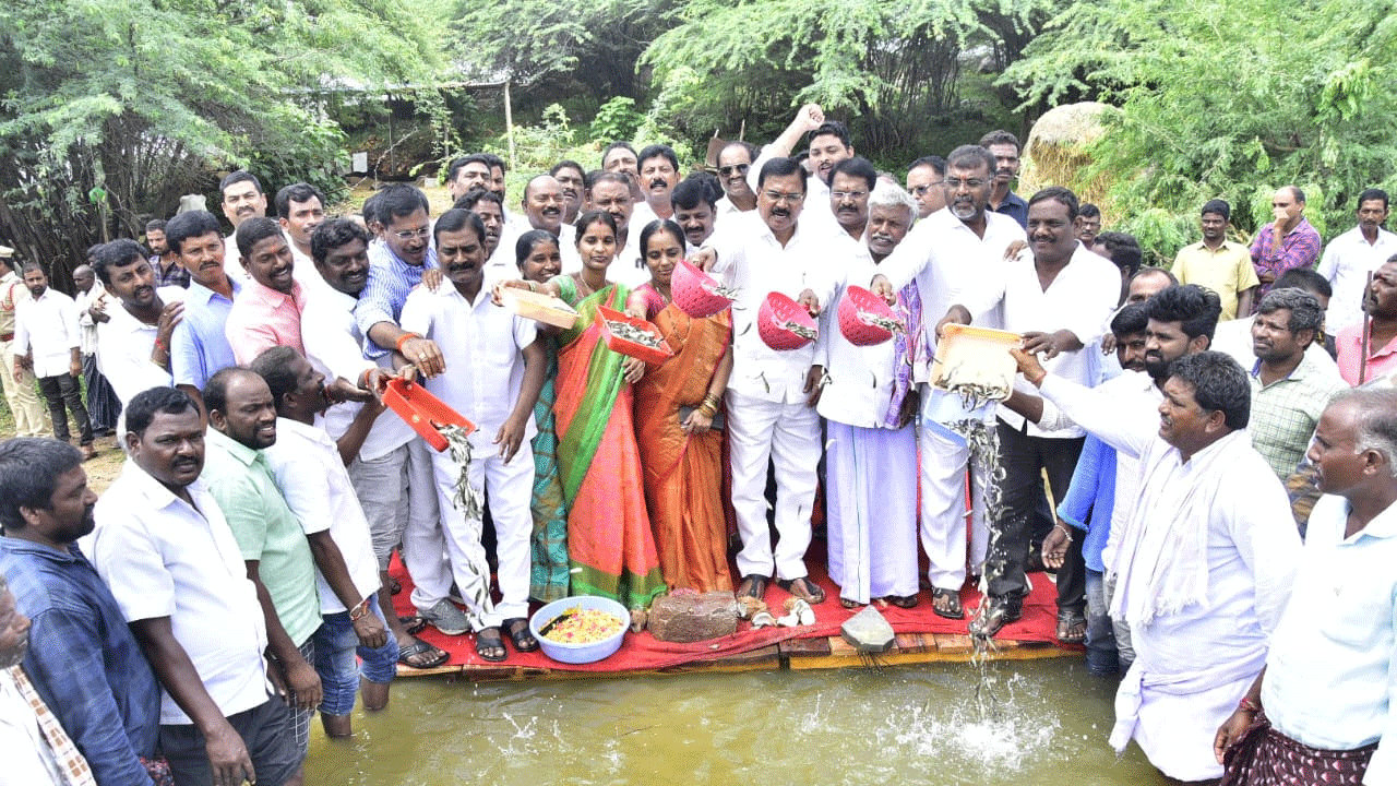 ఉచిత చేప పిల్లలతో మత్స్యకారులకు పెరిగిన ఉపాధి : మంత్రి నిరంజన్ రెడ్డి