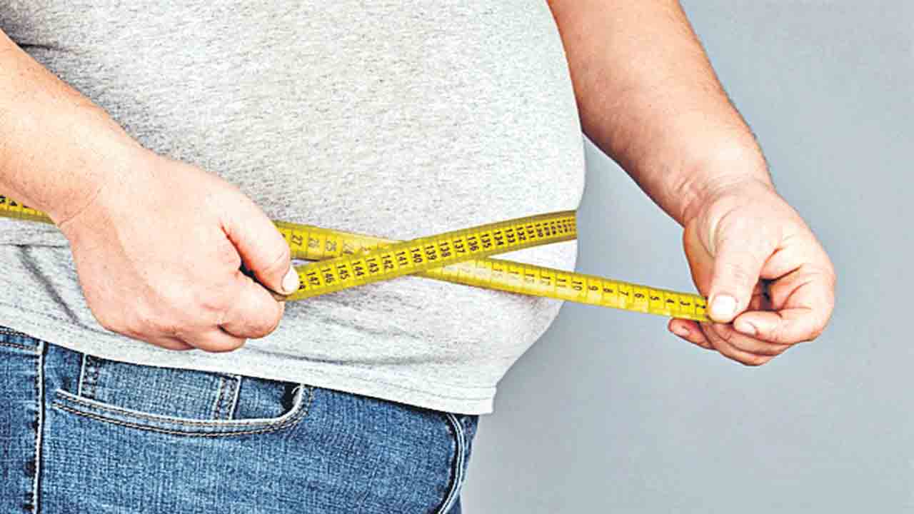 ఊబకాయాన్ని తగ్గించే బీజీఆర్‌-34