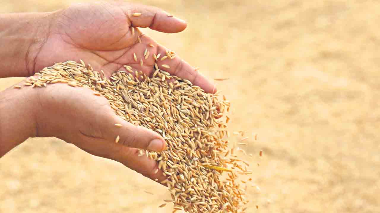 సన్న వడ్లకు ఫుల్‌ గిరాకీ