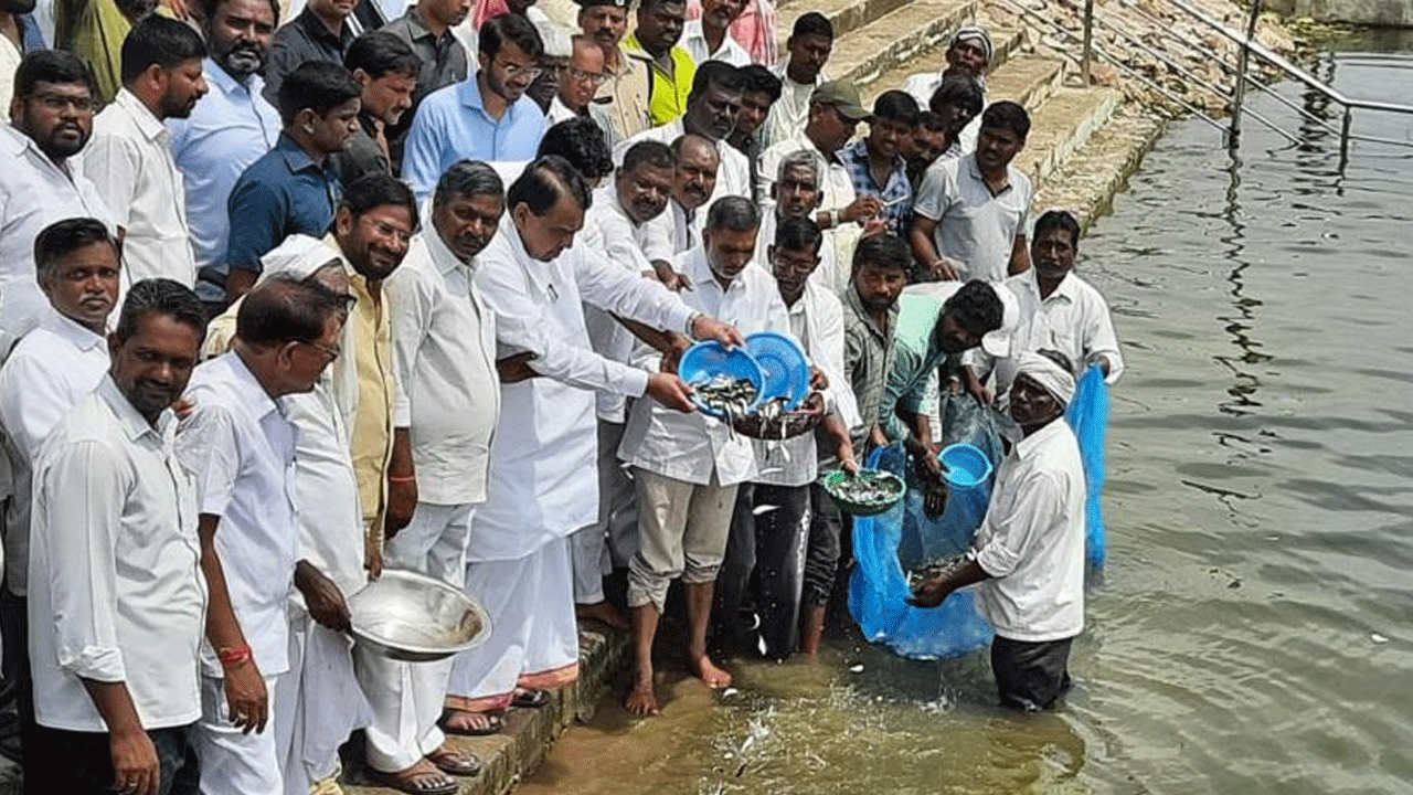 Kamareddy | కల్కి చెరువులో చేపపిల్లలు వ‌దిలిన‌ స్పీకర్ పోచారం