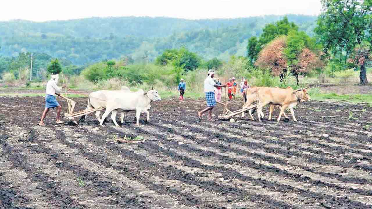 పోడు రైతుకు చేయూత