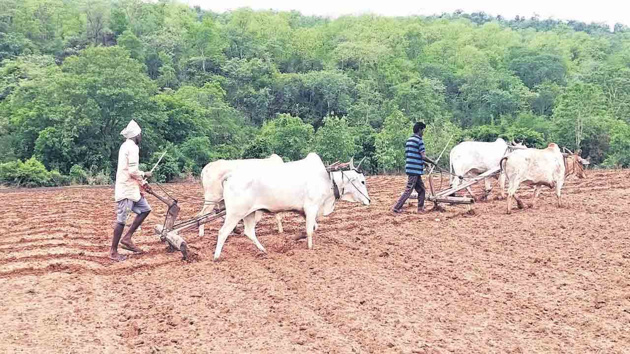 ‘పోడు’ హక్కులపై ఆశలు