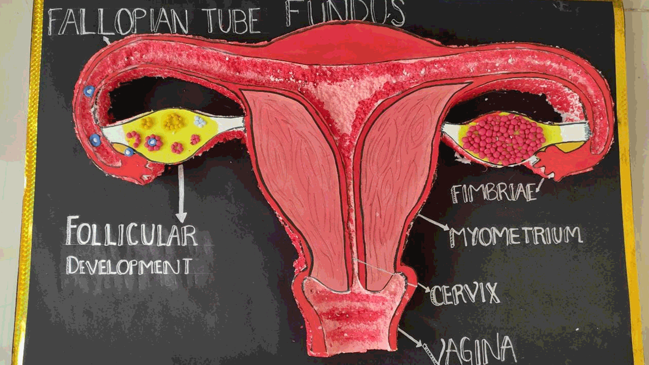 Siddipet | వైద్య విద్య ప్రదర్శనను విజయవంతం చేయండి