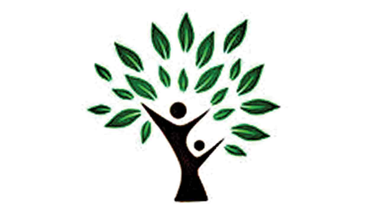 దేవదారు వృక్షం