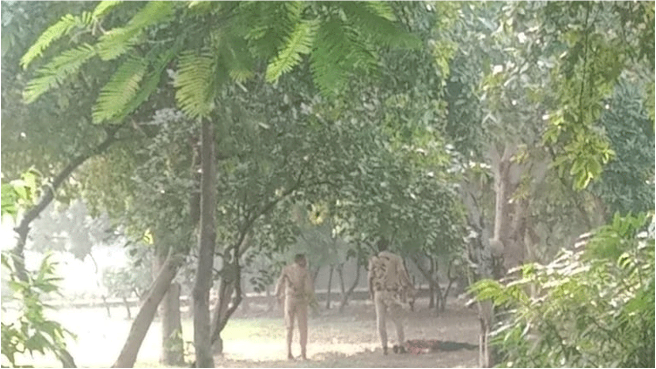 దారుణం : చెట్టుకు వేలాడుతూ విగ‌త‌జీవిగా క‌నిపించిన యువ‌కుడు