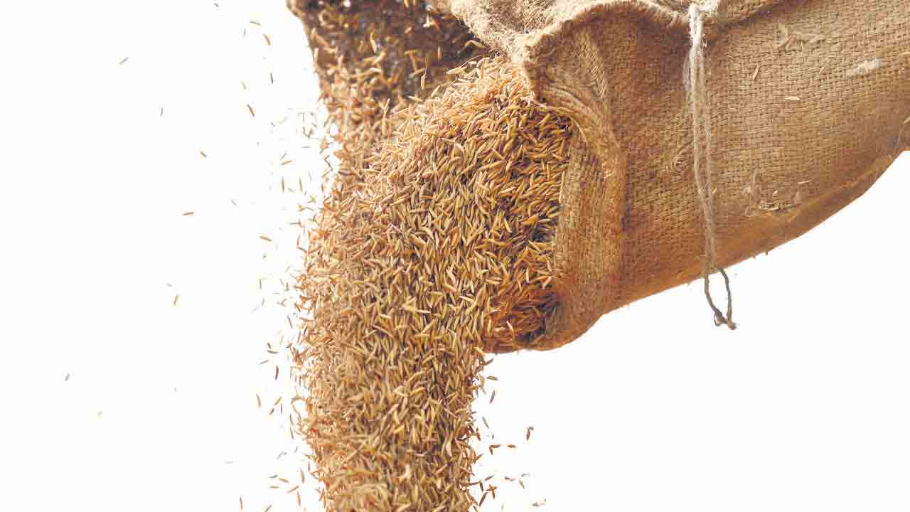 ధాన్యం సేకరణకు ప్రణాళిక ఖరారు