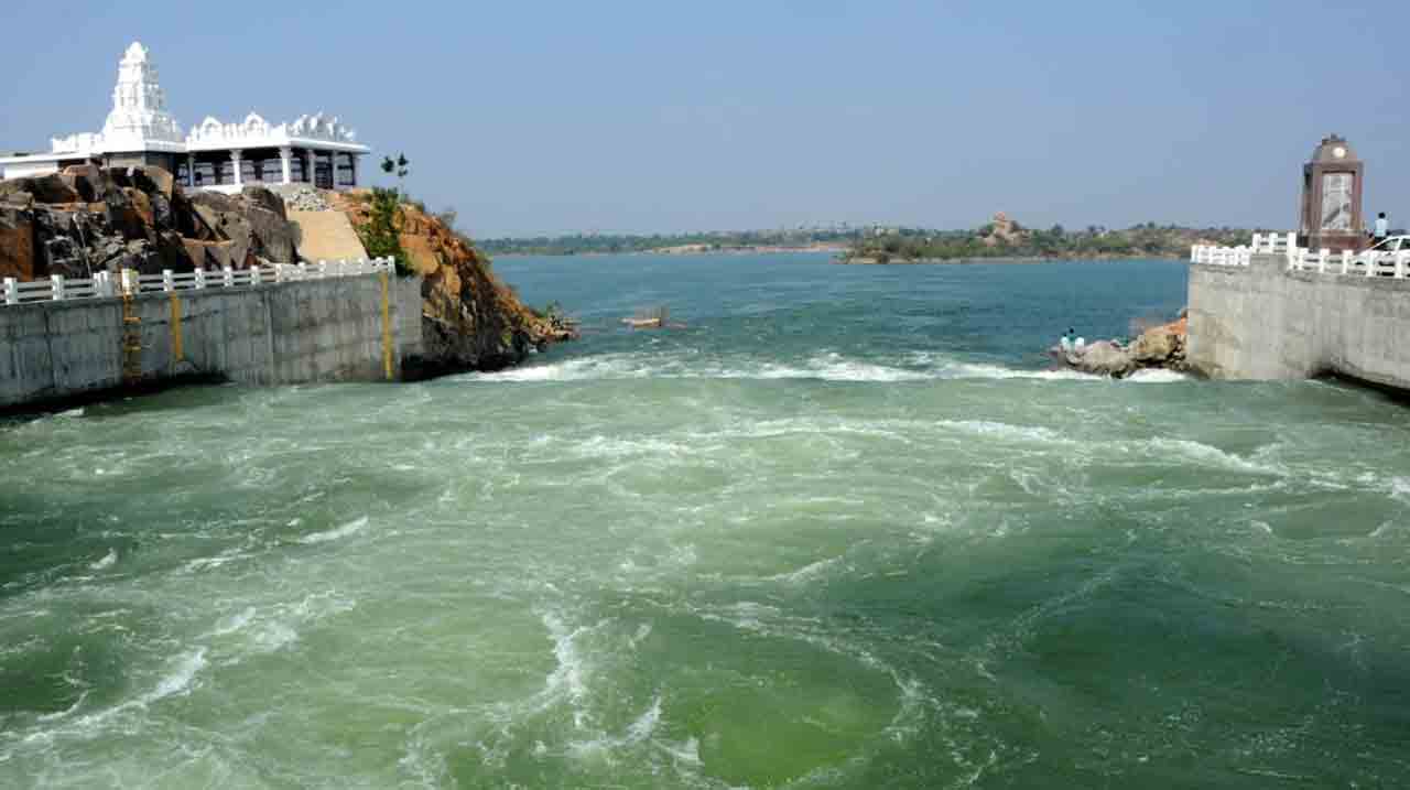 సేద్యం సంబురం