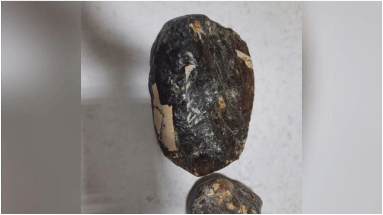 రూ.10 కోట్ల విలువైన తిమింగ‌లం వ్య‌ర్ధాలు సీజ్.. న‌లుగురు అరెస్ట్‌