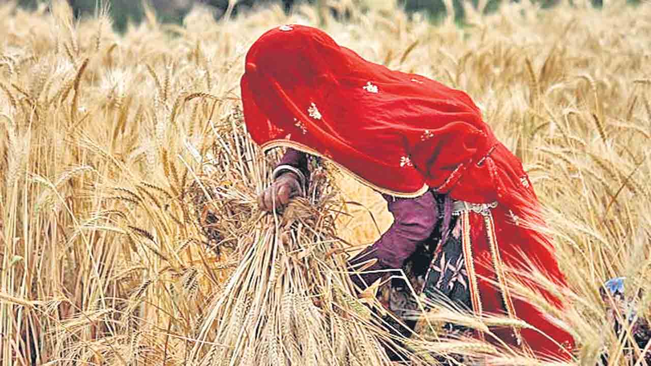 ‘ఆమె’ కష్టంపై వివక్ష.. ఉద్యోగ కల్పనలో మహిళలపై తీవ్ర పక్షపాతం