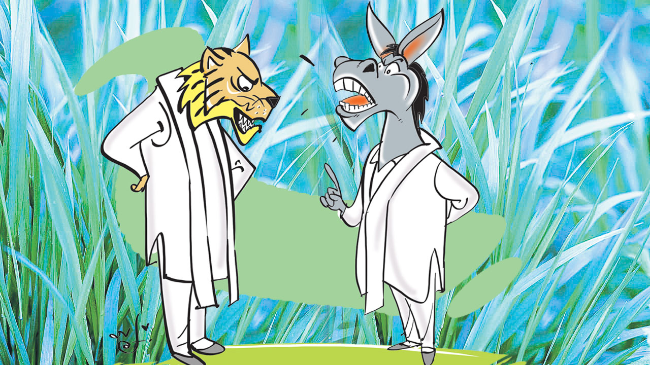 గడ్డి నీలం రంగులోనే ఉంటుంది!