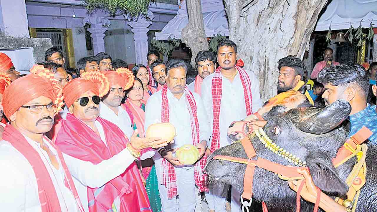 ఘనంగా సదర్‌ ఉత్సవాలు