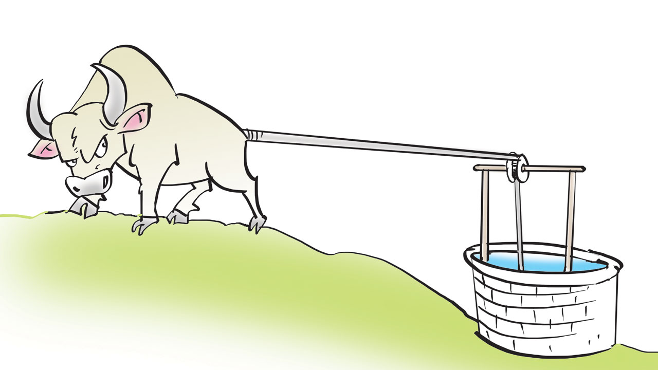 అర్థ వివ