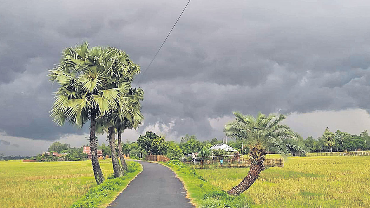 చిత్తడి