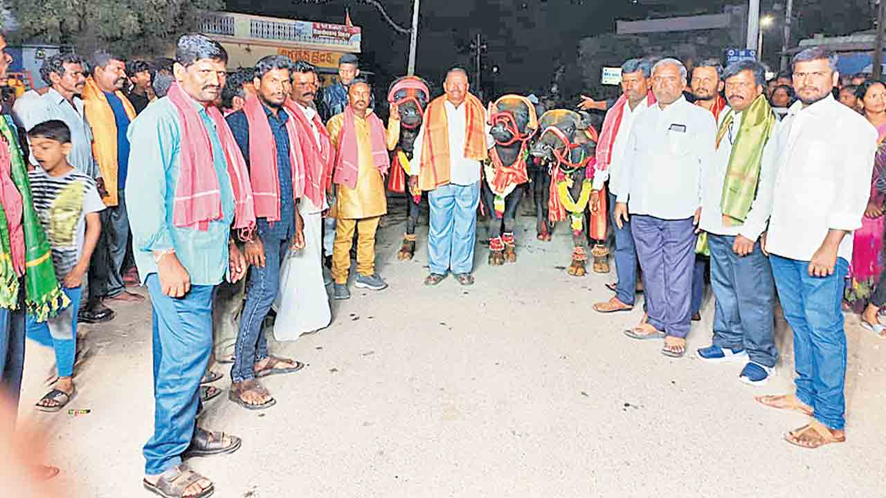 ఆకట్టుకున్న సదర్‌ ఉత్సవాలు