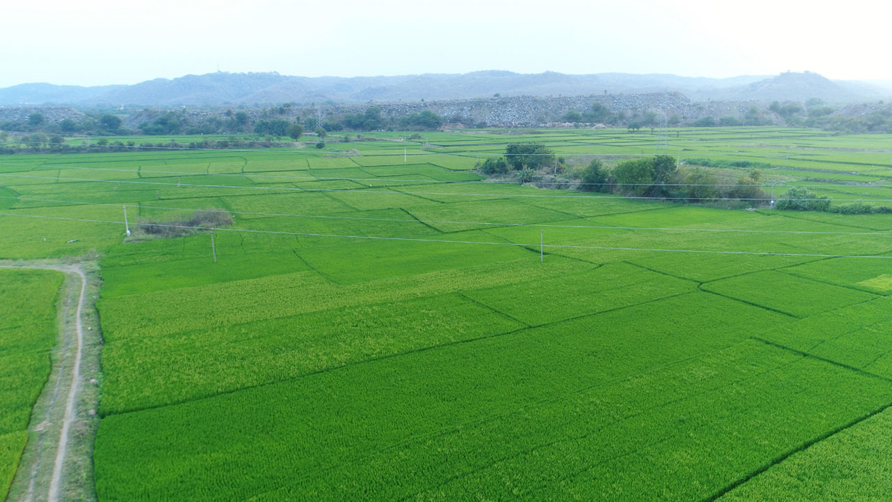 సాగే సాగు