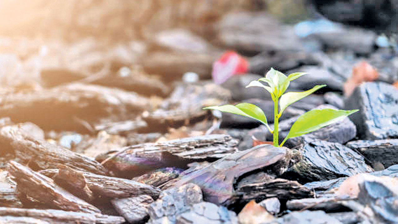 నవ జీవన పత్రం