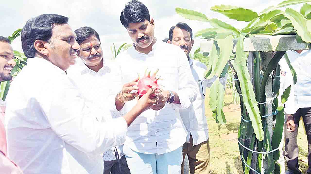 డిమాండ్‌ ఉన్న పంటలను సాగుచేయాలి