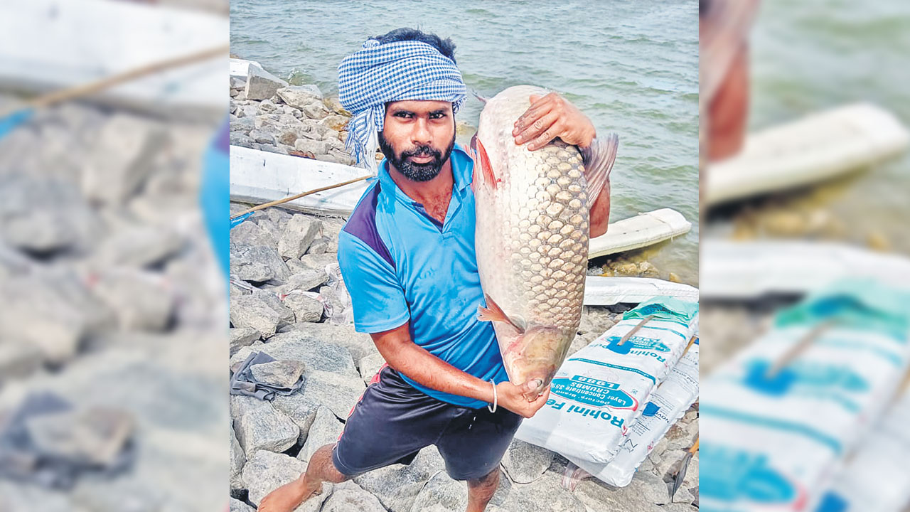 బీసీలకు టీఆర్‌ఎస్‌ పెద్దపీట