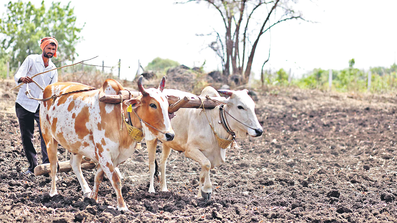 దేశ రైతునూ ఆదుకోవాలె